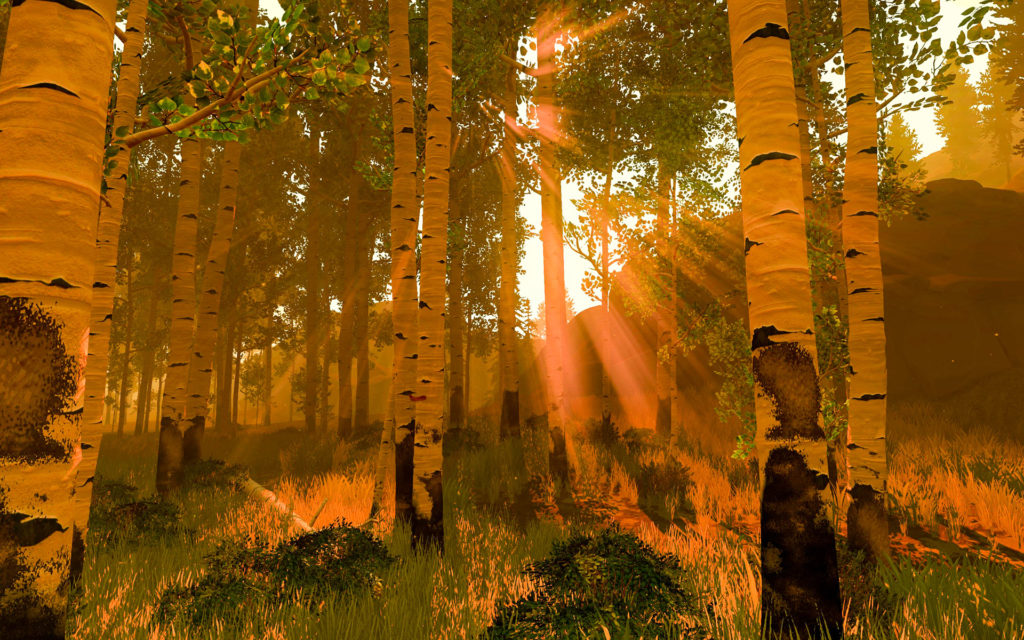 firewatch birch forest