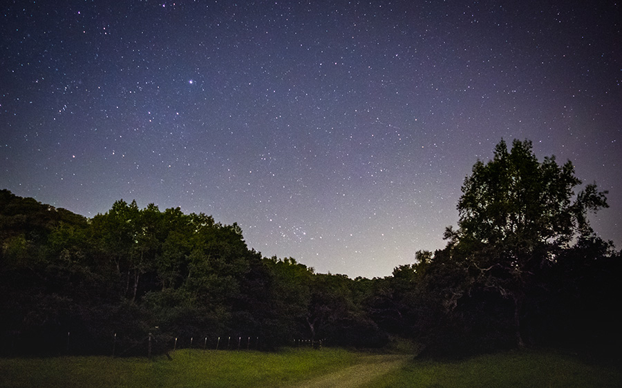 Hiking path with starry night sky