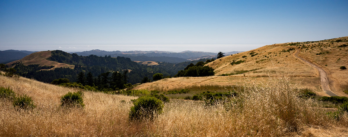 russian ridge open space preserve