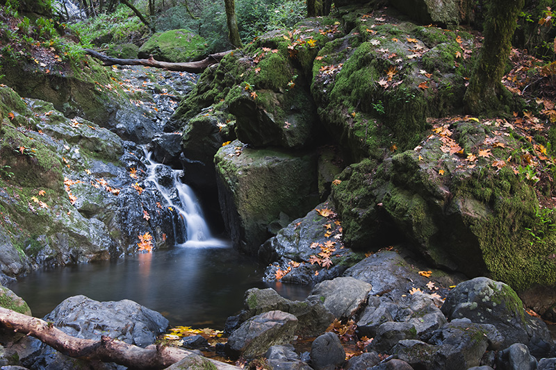 small waterfall enclosed by rocks