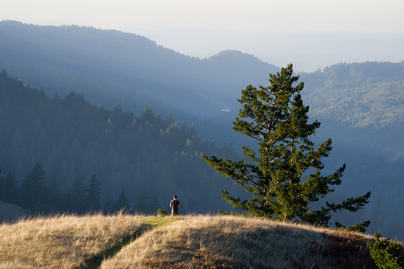 man observing sweeping landscape