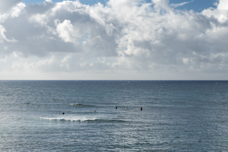 surfers in the ocean