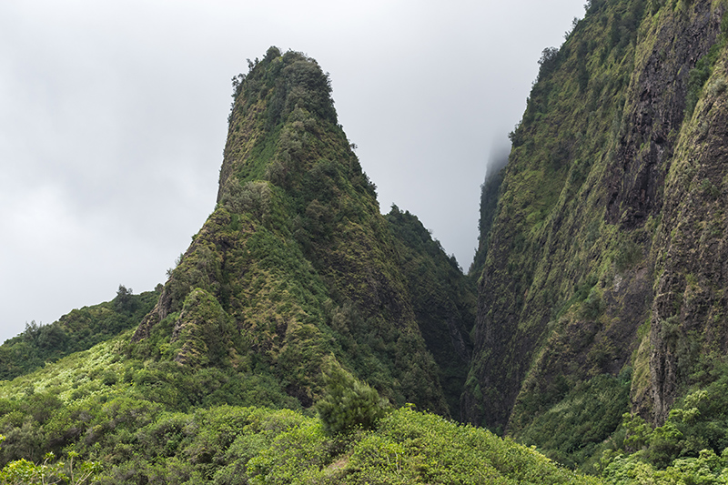 densely forested volcanic ridge