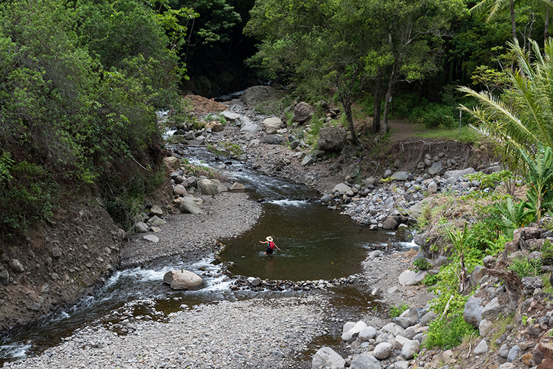 person wading in a jungle river