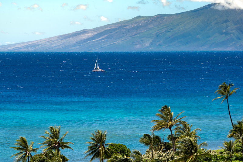 boat on blue waters with palm trees