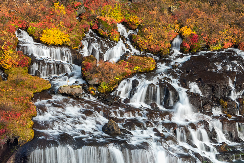 hraunfossar waterfall in autumn